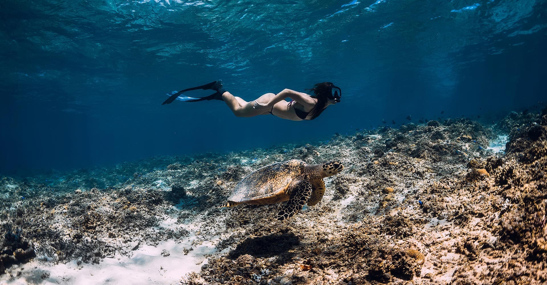Scuba Diving Locations in Bermuda