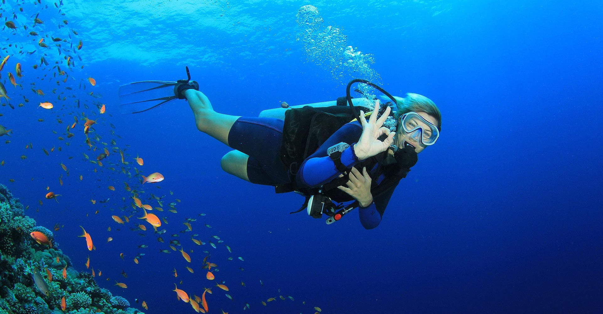 Scuba Diving Dive Trip